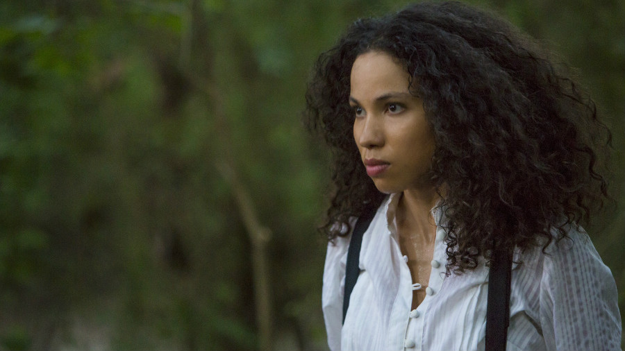 ���� �� �������� �� ����� ����